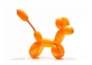 Balloon Modelling