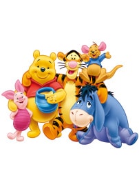 Winnie the Poo Theme Birthday  party - BirthdayBumps.in